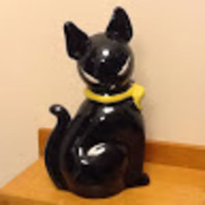 Meet your Posher, Diane